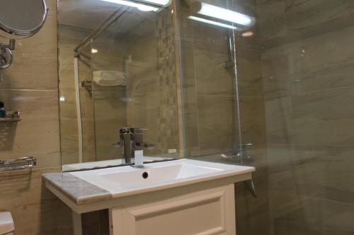 尼兹瓦阿尔迪亚酒店的一间带水槽和淋浴的浴室