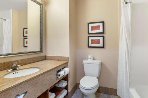 利斯堡利斯堡康福特套房酒店的一间带卫生间、水槽和镜子的浴室