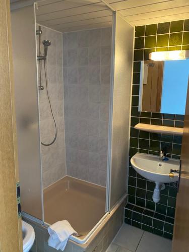 黑尔姆施泰特Sonntags Hotel的带淋浴和盥洗盆的浴室