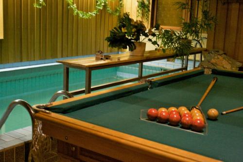 蓬卡哈尤蓬卡哈尔尤酒店的游泳池旁的台球桌,带有球