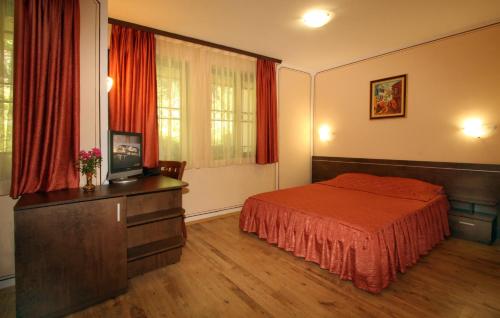 普罗夫迪夫阿拉弗朗吉特酒店的一间卧室配有一张床和一台电视