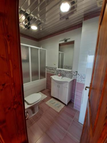 斯韦蒂·斯特凡Villa Lipski的一间带卫生间和水槽的浴室