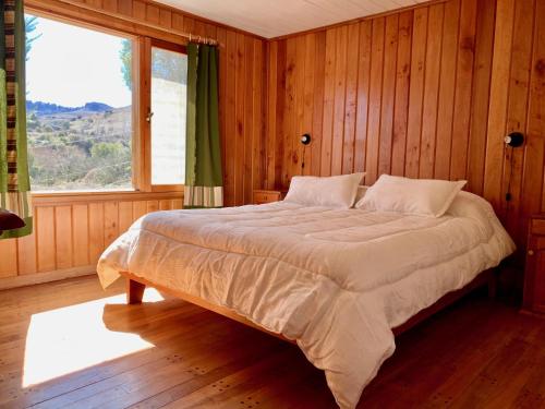胡宁德洛斯安第斯Fly Fishing Cabin, Great Views的木制客房的一张床铺,设有大窗户
