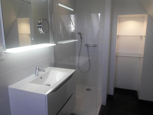 Cérans-Foulletourte多曼德贝莱酒店的带淋浴和盥洗盆的白色浴室