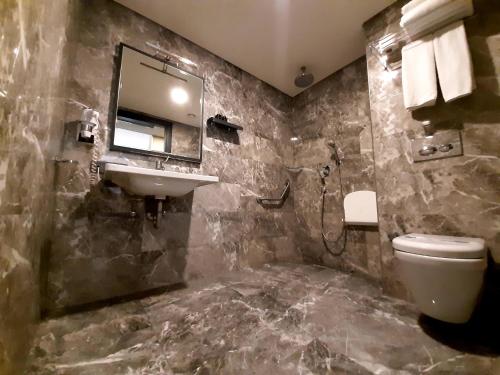 伊斯坦布尔萨普库机场酒店的一间带水槽、卫生间和镜子的浴室