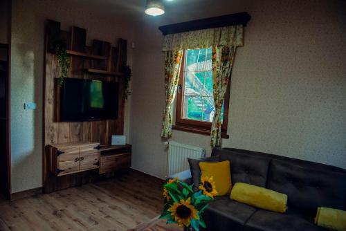 斯梅代雷沃Etno kuća Todorović的带沙发和电视的客厅