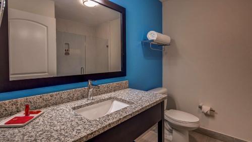 亨博尔SureStay Plus Hotel by Best Western Humble的一间带水槽、卫生间和镜子的浴室