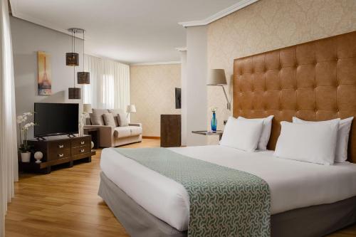 赫塔费埃克赫塔菲酒店的一间带大床的卧室和一间客厅
