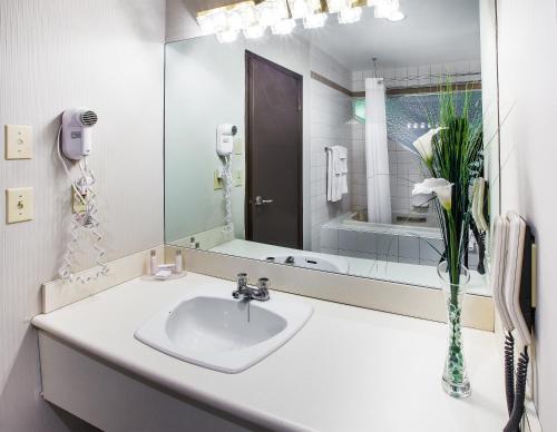 魁北克市安巴萨多套房酒店的一间带水槽和大镜子的浴室