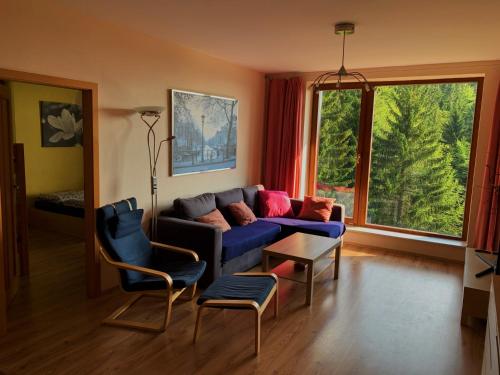 捷克布杰约维采Apartmán Švadlenka的客厅设有蓝色的沙发和大窗户