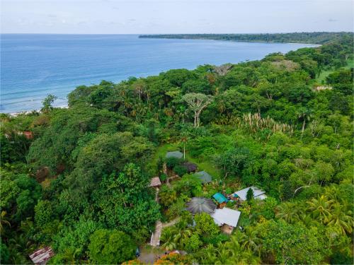 卡维塔Bungalows Aché Cahuita的森林与海洋的空中景观