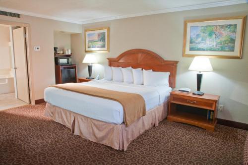 蒙特罗斯Red Arrow Boutique Hotel的一间位于酒店客房内的带大床的卧室