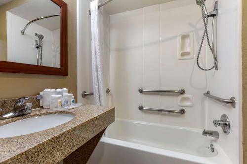 韦科Comfort Suites Waco Near University Area的一间带水槽、浴缸和淋浴的浴室