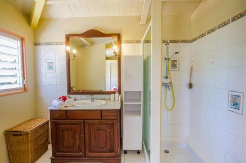 德赛GREEN HOUSE的一间带水槽、淋浴和镜子的浴室