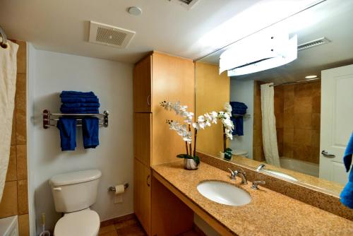 默特尔比奇Deluxe Ocean front One Bedroom suite in Sandy Beach Resort的一间带卫生间、水槽和镜子的浴室