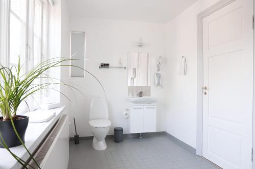 根措夫特Bernstorff Castle Hotel的白色的浴室设有卫生间和水槽。