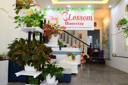 Blossom Homestay大厅或接待区