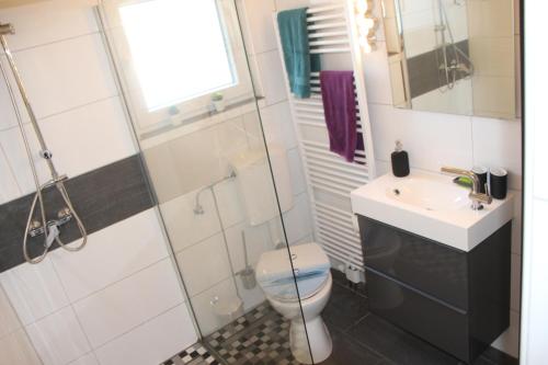 巴德茨维什安Haus Sperling的浴室配有卫生间、盥洗盆和淋浴。