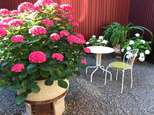 科隆Alte Schreinerei Boutique Hotel的庭院里摆放着粉红色的鲜花和桌椅