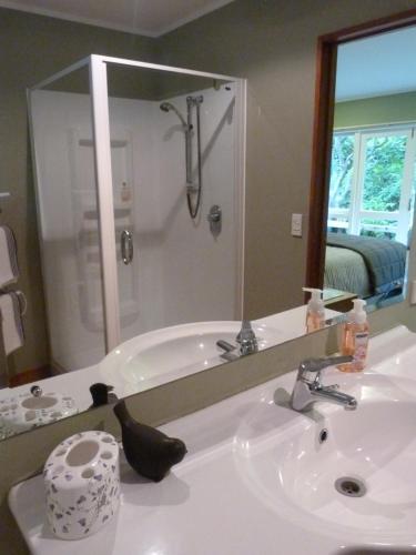 陶波Fred&Donz Bed and Breakfast的一间带大镜子的盥洗盆的浴室