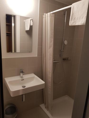 菲施Sport Resort Fiesch, Garni Goneri的浴室配有盥洗盆和带镜子的淋浴