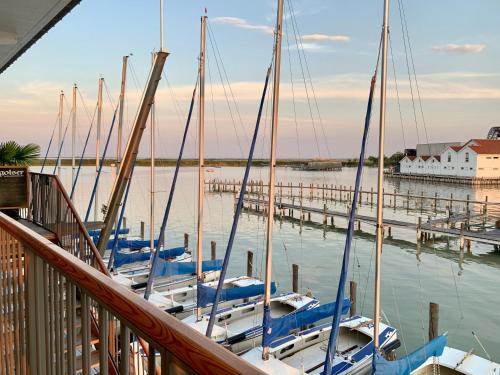 拉斯特Seehütte Neusiedlersee - Urlaub am Wasser的停靠在码头的一组船