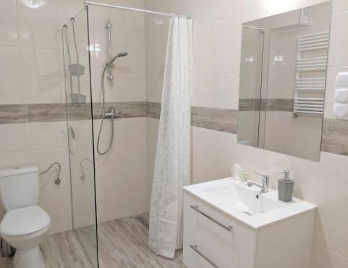 姆瓦瓦H2U LUX Hostel Dla Ciebie的浴室配有卫生间、盥洗盆和淋浴。