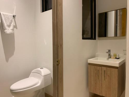 巴兰基亚Hotel Boutique M的一间带卫生间和水槽的浴室