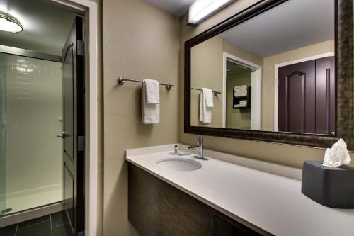 岩石丘Staybridge Suites - Rock Hill, an IHG Hotel的一间带水槽和镜子的浴室