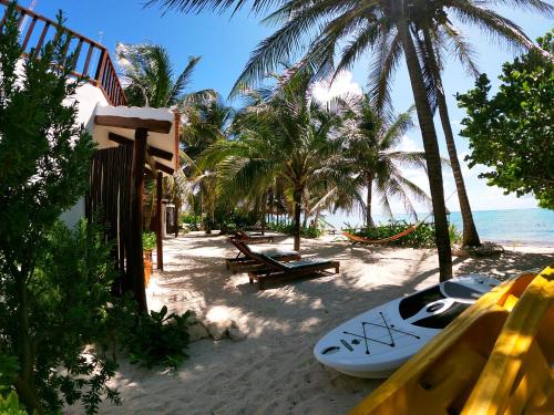 图卢姆Casa Colibrí Tankah的棕榈树海滩上的冲浪板