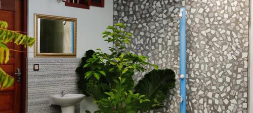 FuvahmulahEquator Holiday Inn的一间带水槽的浴室和墙上的植物