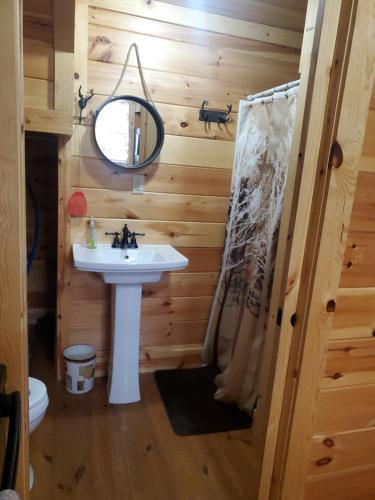 GenoaThe Hampton - An Amish Built Deluxe Log Cabin的一间带水槽和镜子的浴室