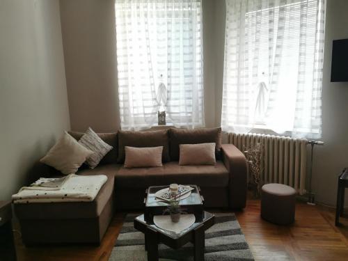 苏博蒂察Kata's Place的客厅配有棕色沙发和桌子