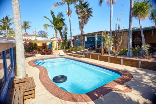 麦夸里港奥齐波茨背包客 - 麦觉理港国际青年旅舍的一个带spa和棕榈树的游泳池