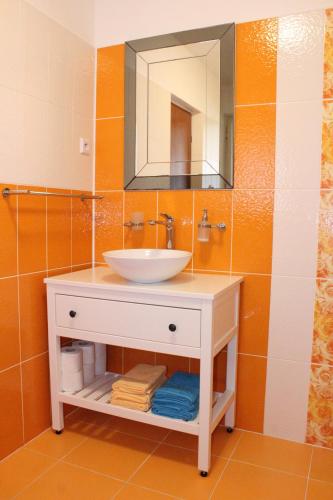 BrtniceChalupa u Smolíků的一间带水槽和镜子的浴室