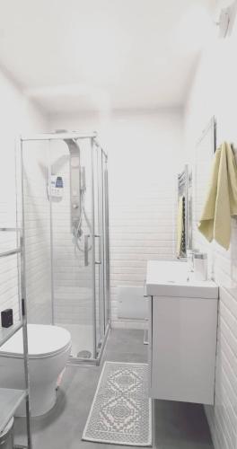 巴勒莫Casa Pirri的白色的浴室设有卫生间和淋浴。