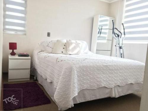 圣地亚哥Apartamento hogareño的卧室配有白色的床和镜子