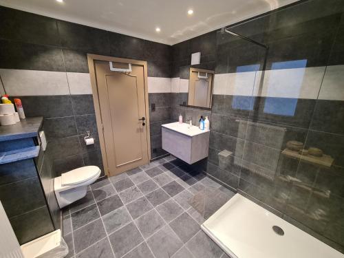 布鲁日Beautiful apartment met zicht Damse vaart @brugge的浴室配有卫生间、盥洗盆和淋浴。