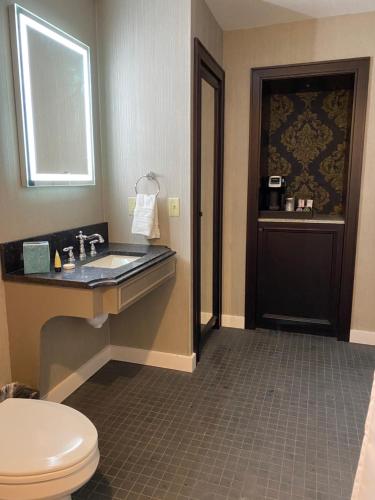 新奥尔良普雷斯迪阿梅斯酒店的一间带卫生间和水槽的浴室