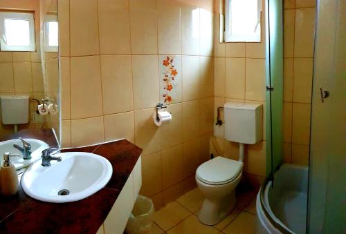 伯伊莱图什纳德玛雅维拉旅馆的一间带水槽、卫生间和淋浴的浴室
