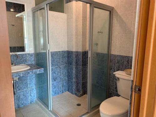伊达尔戈州波萨里卡Hotel Alcázar的带淋浴、卫生间和盥洗盆的浴室
