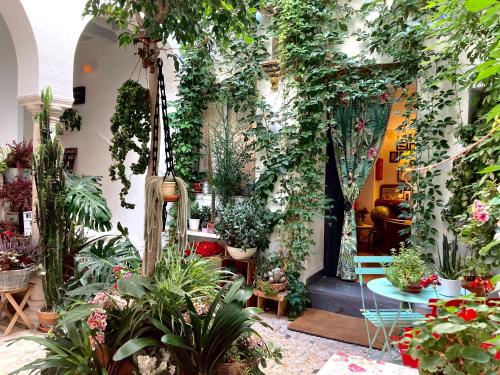 圣玛丽亚港圣玛丽亚赫斯派德斯酒店的充满了许多盆栽植物的房间