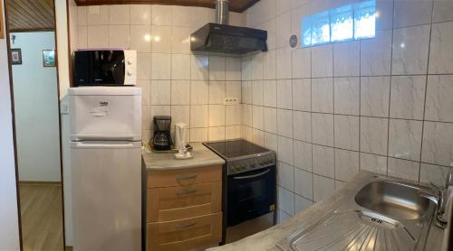 Artolsheim拉莫别墅酒店的一间带冰箱和水槽的小厨房