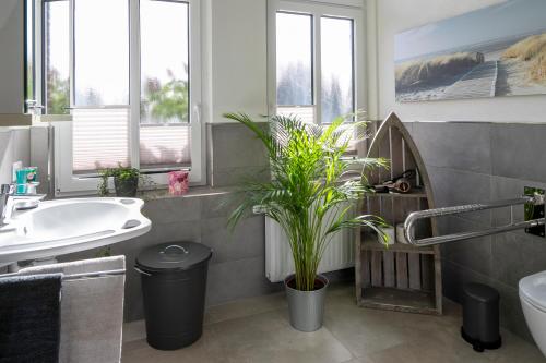 巴德茨维什安HausAltenkamp的一间带水槽、卫生间和植物的浴室