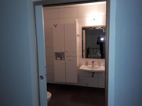 鲁尔蒙德Stadswoning Roermond的一间带水槽、镜子和卫生间的浴室
