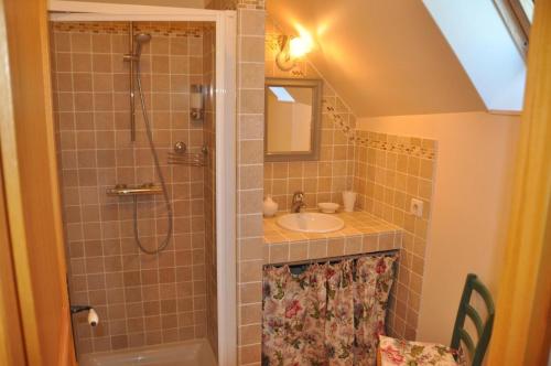 Saint-Loup-de NaudMaison Vérosia的一间带水槽和淋浴的浴室