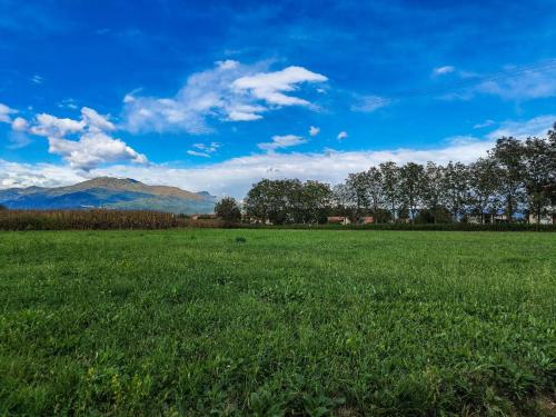 伊夫雷亚CA MATILDE的一片绿草丛,山地背景