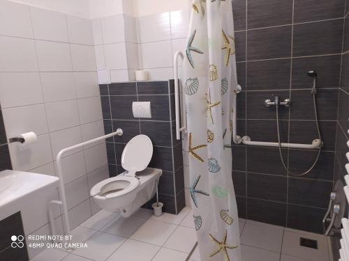 瓦拉什斯凯梅济日奇Penzion ValMez的一间带卫生间和淋浴帘的浴室
