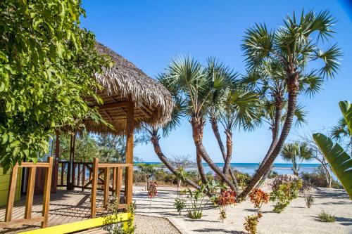 马哈赞加安萨尼铁度假村的棕榈树海滩和小屋