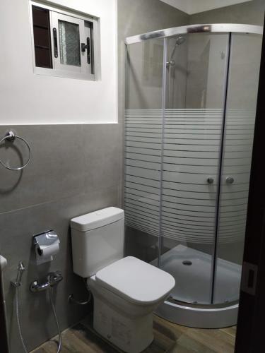 米纳斯Posada La Nona的一间带卫生间和玻璃淋浴间的浴室